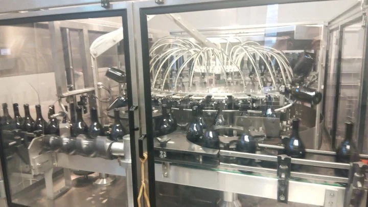 Used Costec SF 24 Wine Bottle Rinser UW 215 for wine bottling lines